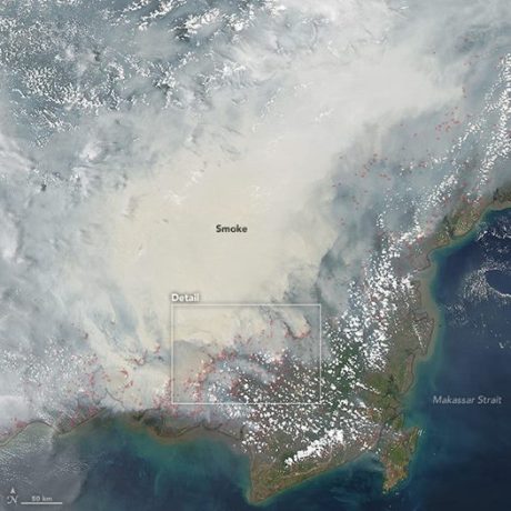 pulau kalimantan tertutup asap